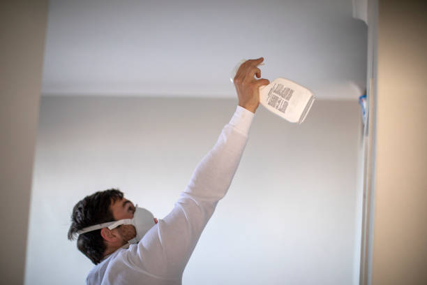 Best Attic Mold Removal  in Westworth Village, TX