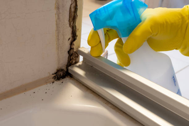 Best Crawl Space Mold Removal  in Westworth Village, TX