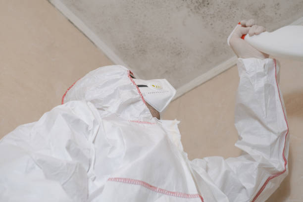 Best Commercial Mold Removal  in Westworth Village, TX