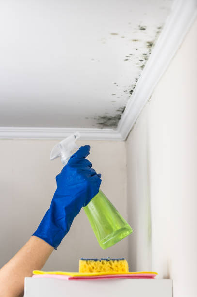 Best Mold Testing  in Westworth Village, TX